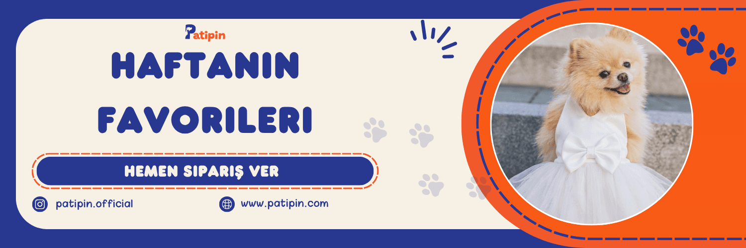 Haftanın Favorileri