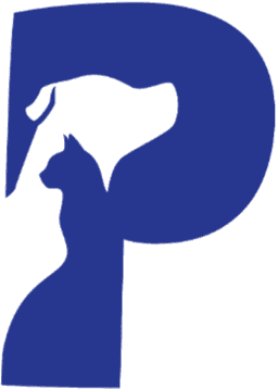 Patipin logo