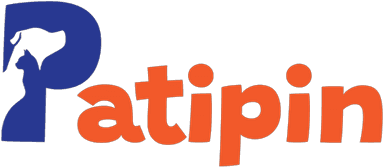 Patipin