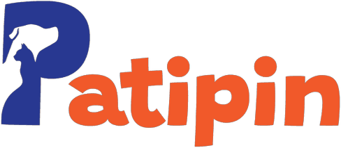 Patipin