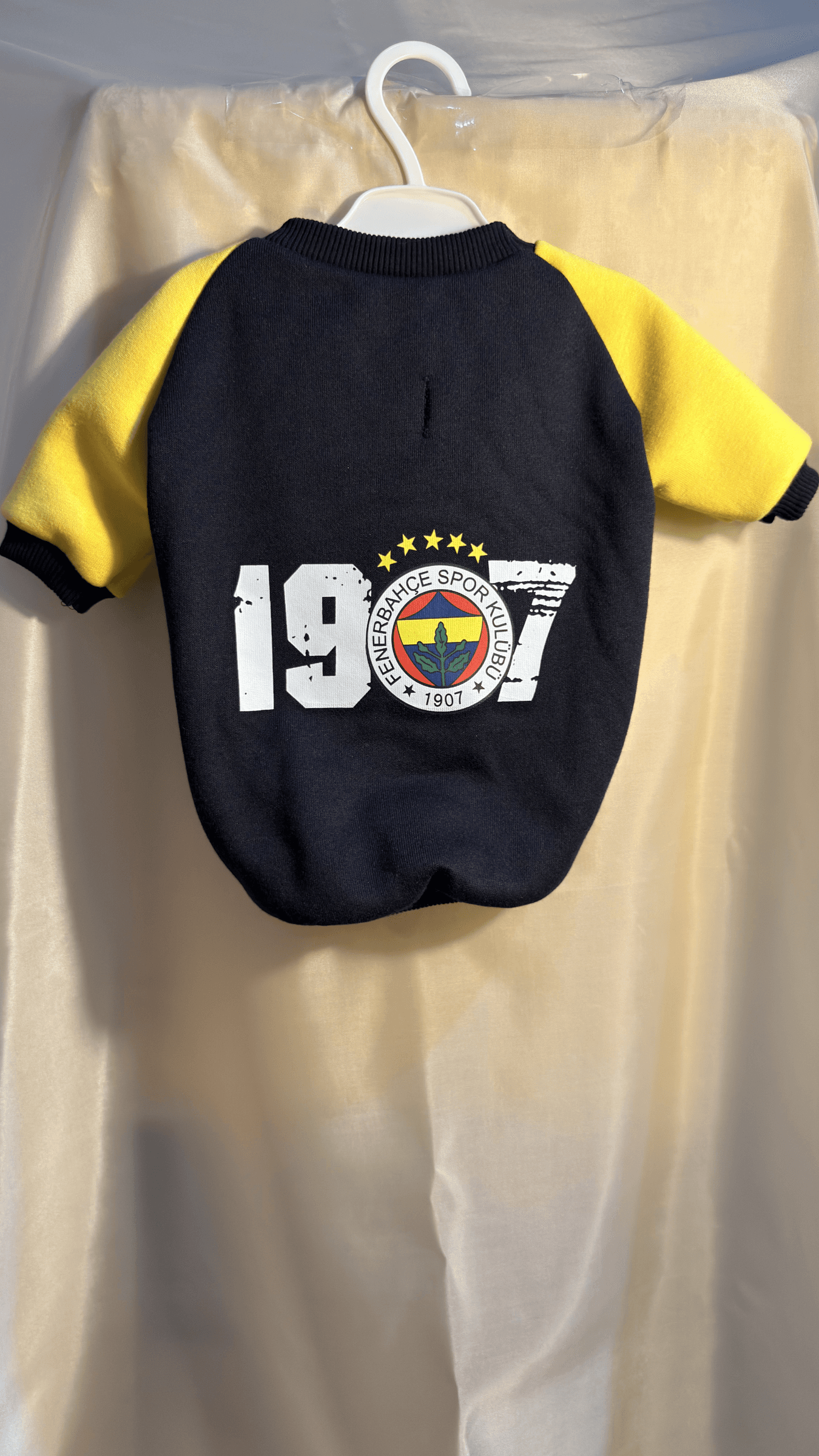 Fenerbahçe Evcil Hayvan Kıyafeti - Görsel 1