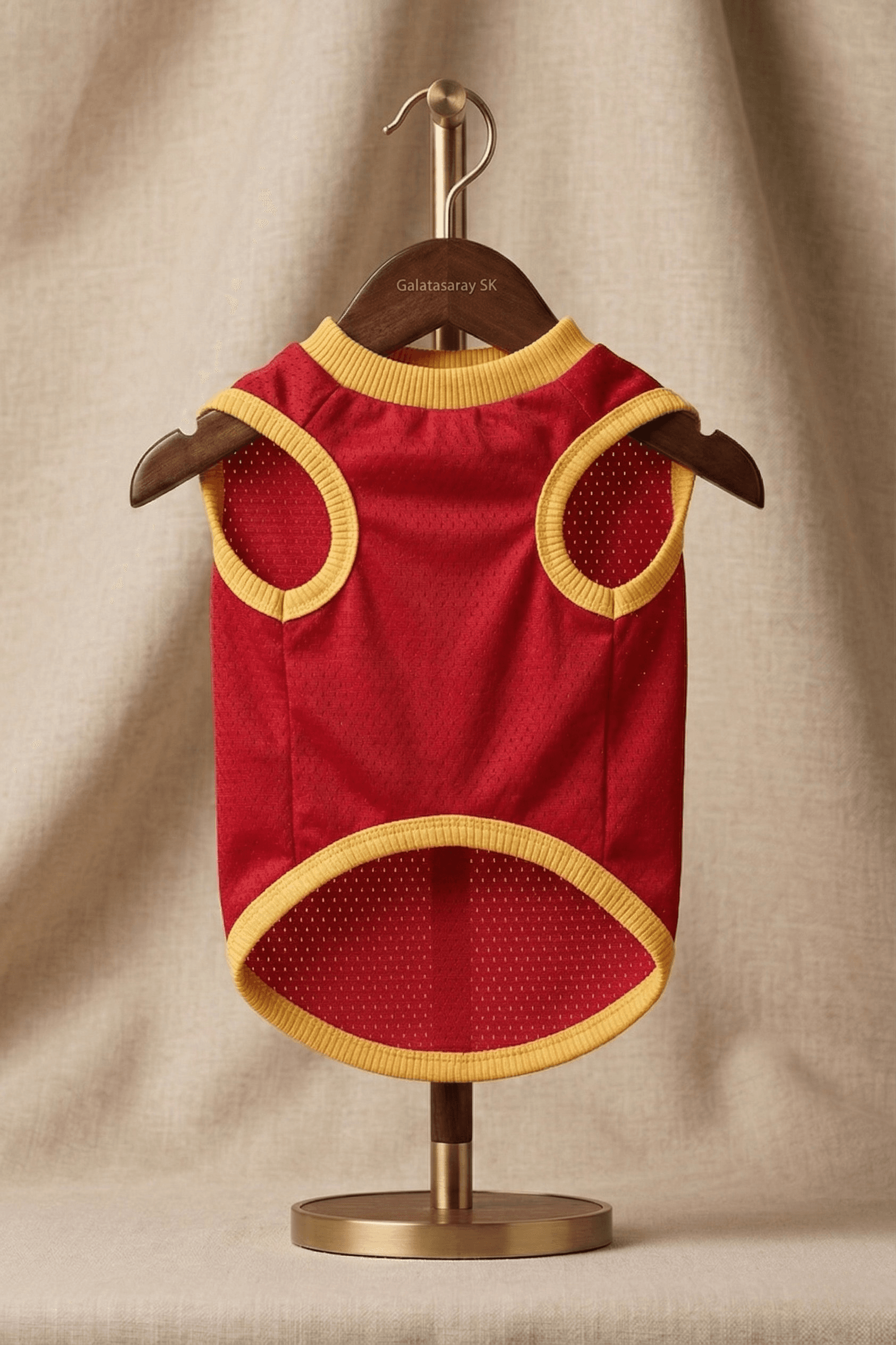 Galatasaray Evcil Hayvan Atleti - Görsel 2